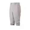 Mizuno PREMIER SHORT BASEBALL PANT -Ball Equipment Shop Mizuno PREMIER SHORT BASEBALL PANT 1