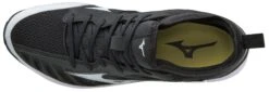 Mizuno Player's Trainer 2 Mens Baseball Turf Shoe -Ball Equipment Shop Mizuno Player s Trainer 2 Mens Baseball Turf Shoe 5