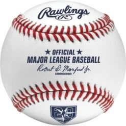 Rawlings MLB 2018 Tampa Bay Rays 20th Anniversary Baseball