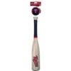 Rawlings MLB Minnesota Twins Bat And Ball Set - Softee -Ball Equipment Shop Rawlings MLB Minnesota Twins Bat and Ball Set Softee