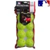 FRANKLIN MLB® 9" INDESTRUCT-A-BALL BASEBALL -Ball Equipment Shop a